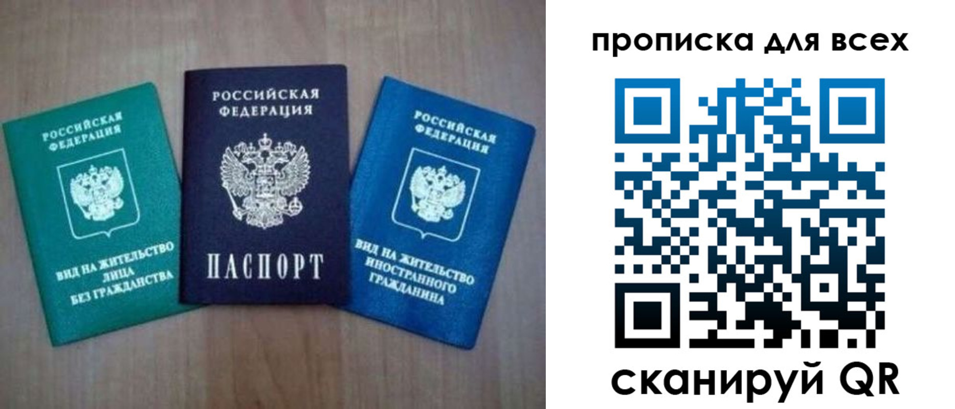 прописка гарантия в Камышине