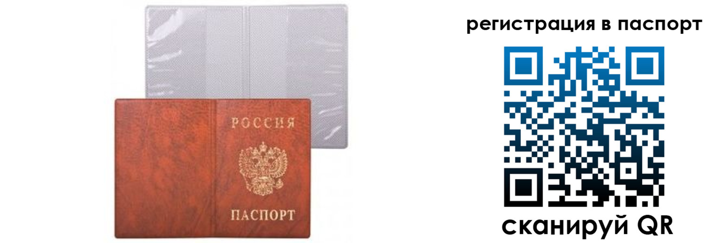 прописка ребенка в Камышине